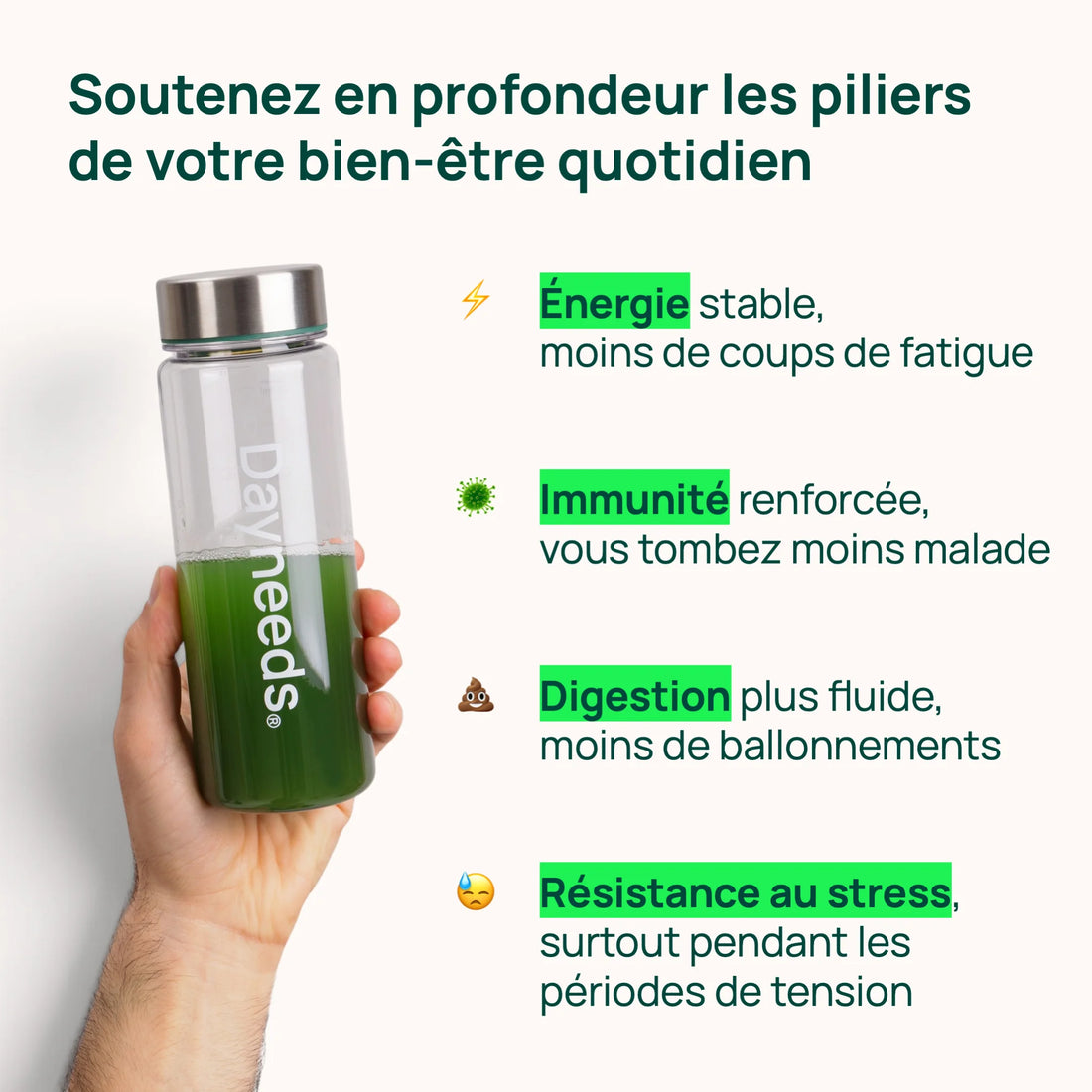Sachet Dayneeds 30 jours