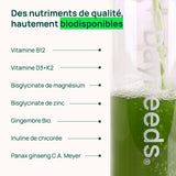 Sachet Dayneeds 30 jours
