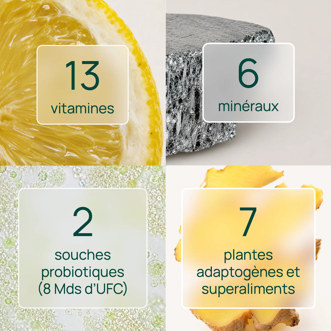 Sachet Dayneeds 30 jours